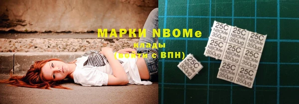 мдпв Каменногорск