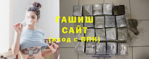 мдпв Каменногорск