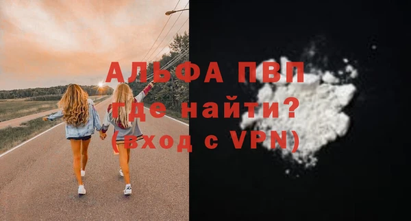 дмт Каменка