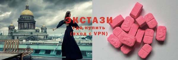 дмт Каменка