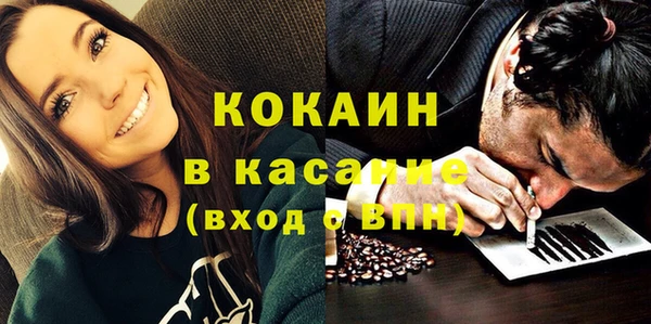мдпв Каменногорск