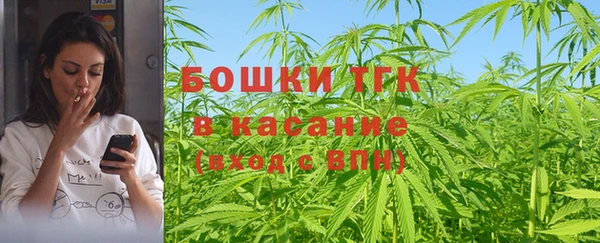мдпв Каменногорск