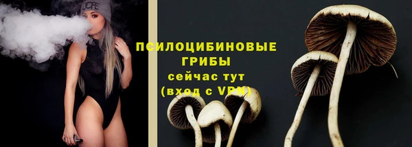 СК Каменск-Шахтинский