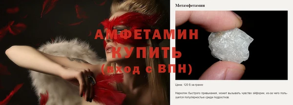 дмт Каменка