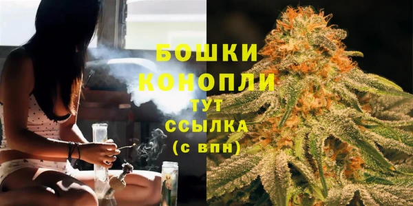 мдпв Каменногорск