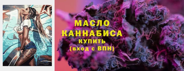 дмт Каменка