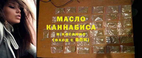 мдпв Каменногорск