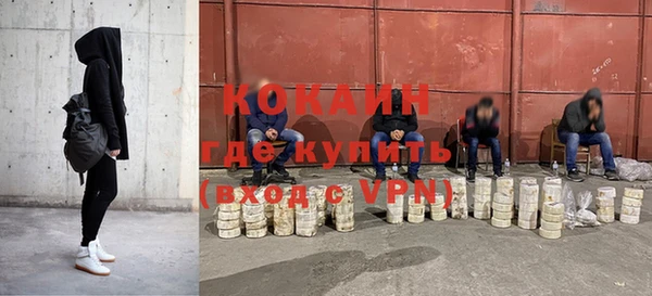 дмт Каменка