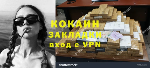дмт Каменка
